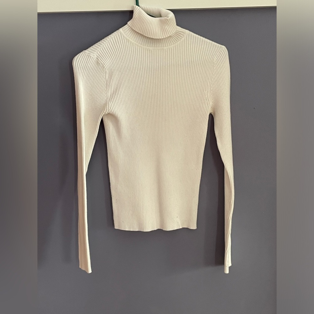 Ribbed turtleneck